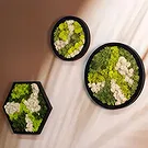 Alle anderen Städte Blumen Florist- Grüne Gelassenheit Bouquet/Blumenschmuck