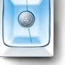 La GI bunga- Versace Pour Homme Sejambak/gubahan bunga