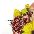 بائع زهور ألفانوفو- المجاملات باقة الزهور