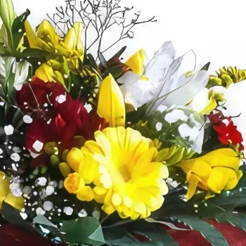 Albufeira cveжe- Inventivna kombinacija Cvet buket/aranžman