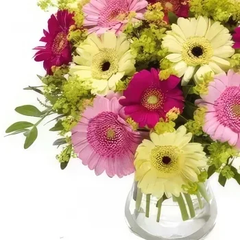 بائع زهور إنسبروك- فرحة الربيع باقة الزهور