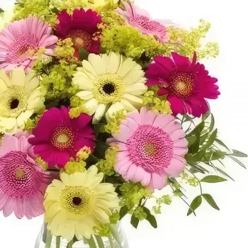 Ίνσμπρουκ λουλούδια- Ανοιξιάτικη απόλαυση Μπουκέτο/ρύθμιση λουλουδιών