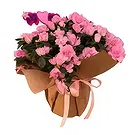 Adma flowers  -  Evoke Emotions Flower Bouquet/Arrangement