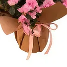 Adma flowers  -  Evoke Emotions Flower Bouquet/Arrangement