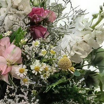 מדריד פרחים- אהבה פראית זר פרחים/סידור פרחים
