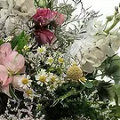 Spanien Blumen Florist- Wilde Liebe Bouquet/Blumenschmuck