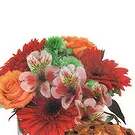 Versciaco di Sopra flowers  -  Colorful Flower Bouquet with Panettone Flower Bouquet/Arrangement