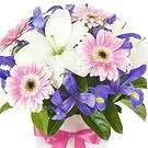 Smederevska Palanka flowers  -  Vibrant Harmony Flower Bouquet/Arrangement