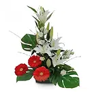 Rota flowers  -  Radiant Gerbera Grove Flower Bouquet/Arrangement