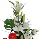 Rota flowers  -  Radiant Gerbera Grove Flower Bouquet/Arrangement