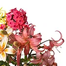 Italy flowers  -  Bouquet with Orange Lilies Flower Bouquet/Arrangement