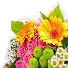 Smederevska Palanka flowers  -  Colorful Harmony Flower Bouquet/Arrangement