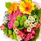 Smederevska Palanka flowers  -  Colorful Harmony Flower Bouquet/Arrangement