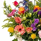 Amsterdam-Zuidoost flowers  -  Fresh Fragrance Flower Bouquet/Arrangement