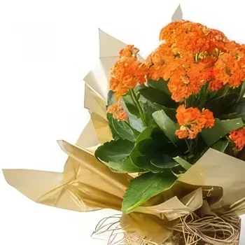 רסיפה פרחים- פרח מזל כתום זר פרחים/סידור פרחים