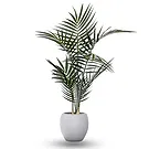 Al Shamkha flowers  -  Palm Flower Bouquet/Arrangement
