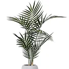 Al Shamkha flowers  -  Palm Flower Bouquet/Arrangement