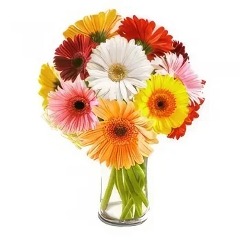 Τουρίνο λουλούδια- Ημέρα όνειρο Μπουκέτο/ρύθμιση λουλουδιών
