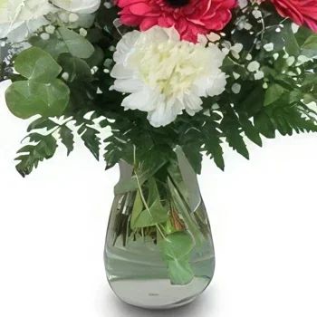 ดอกไม้ บายาโดลิด - กลีบดอกสีแดงและสีขาว ช่อดอกไม้/การจัดวางดอกไม้