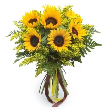 Itali bunga- Sekumpulan Bunga Matahari