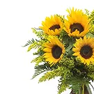 Cori flowers  -  Bunch of sunflowers Flower Bouquet/Arrangement