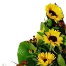Portugal flowers  -  Yellow Mellow Flower Bouquet/Arrangement
