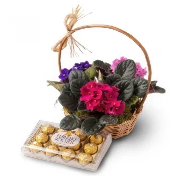 flores el Salvador floristeria -  Cesta con 3 violetas y chocolates Ramo de flores/arreglo floral