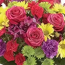Garhoud flowers  -  Vivacious Bouquet Flower Bouquet/Arrangement