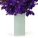 Pantoja blommor- Elegance B Bukett/blomsterarrangemang