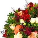 United Arab Emirates flowers  -  Warm Peach and Pink Floral Bouquet Flower Bouquet/Arrangement