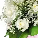 Cabo Balanco blommor- Mjuk vit Romantik Bukett/blomsterarrangemang