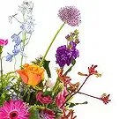 Vanlose flowers  -  For the Sweetest Flower Bouquet/Arrangement