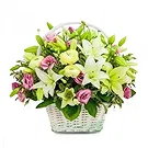Javea flowers  -  Blush Blossom Delight Flower Bouquet/Arrangement