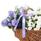 Vignone flowers  -  Basket of White and Blue Flowering Plants Flower Bouquet/Arrangement
