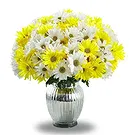 Prokuplje flowers  -  Passionate Vibes Flower Bouquet/Arrangement