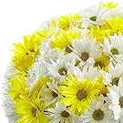 Prokuplje flowers  -  Passionate Vibes Flower Bouquet/Arrangement