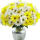 Prokuplje flowers  -  Passionate Vibes Flower Bouquet/Arrangement