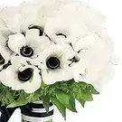 Sabana iglesia flowers  -  Black and White Romance Flower Bouquet/Arrangement