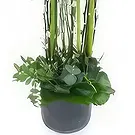 France flowers  -  White composition in height Lima Flower Bouquet/Arrangement
