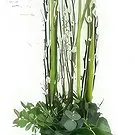 France flowers  -  White composition in height Lima Flower Bouquet/Arrangement
