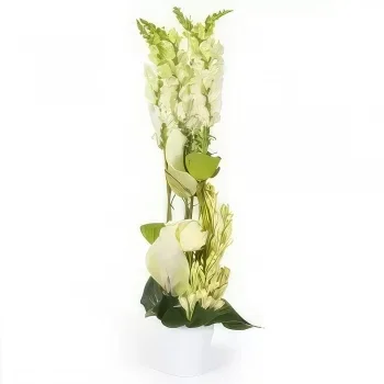 Toulouse kukat- Valkoinen sävellys Sissi Kukka kukkakimppu