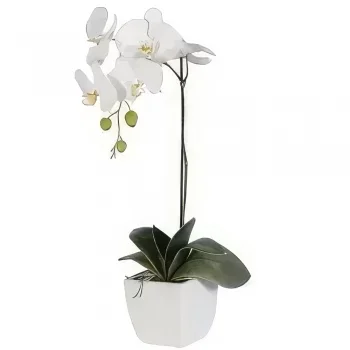 Стокхолм цветя- Бяла елегантна Букет/договореност цвете
