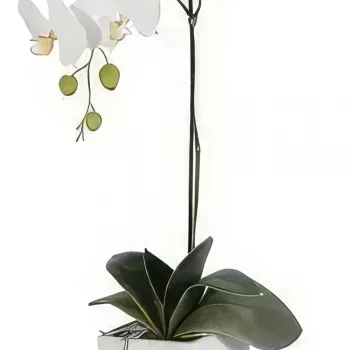 flores Porto floristeria -  Elegancia Blanca Ramo de flores/arreglo floral