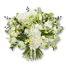 An-Najadah blomster- Hvit hortensia og freesiabukett Blomsterarrangementer bukett