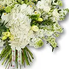An-Najadah blomster- Hvit hortensia og freesiabukett Blomsterarrangementer bukett