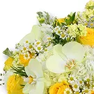 An-Najadah blomster- Hvite hortensiaer og gule roser i bukett Blomsterarrangementer bukett