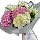 Abu Dhabi City flowers  -  White Matthiola and Pink Hydrangea Flower Bouquet/Arrangement