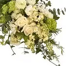 Swallow flowers  -  Serene Flower Bouquet/Arrangement