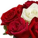 Prokuplje flowers  -  I Miss You Flower Bouquet/Arrangement