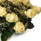 Wroclaw flowers  -  White Arrangement 3 Flower Bouquet/Arrangement